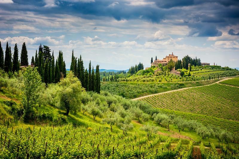 Le colline del chianti , wine from tuscany collezione