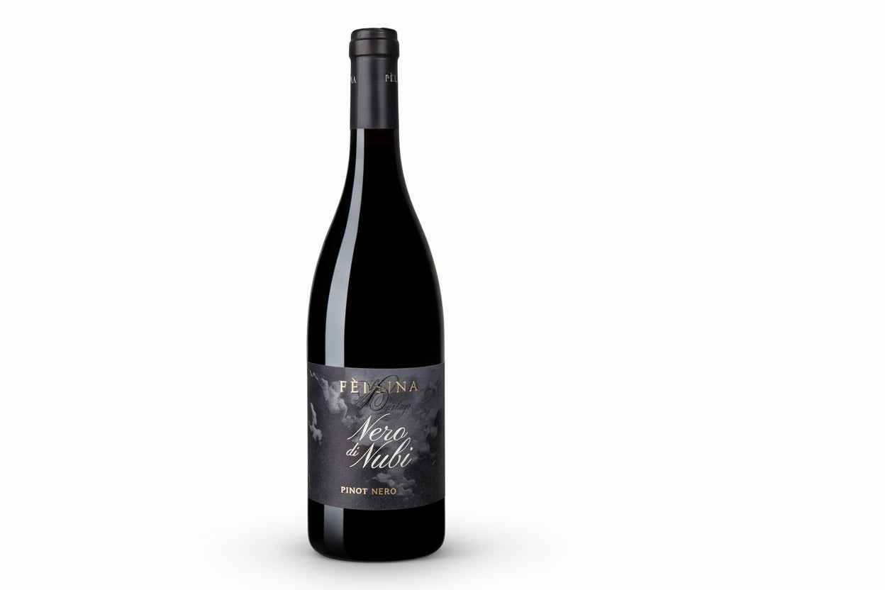 Toscana Rosso IGT 2016 Nero di Nubi Fèlsina bottiglia di vino rosso toscano premium prodotto con uve selezionate nella regione Toscana.